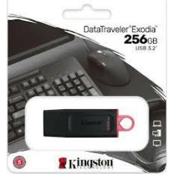 Kingston DataTraveler Exodia  256GB